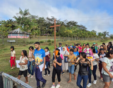 Accompaniment Simon. Brazilian amazon MSC