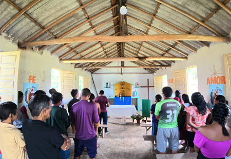 Accompaniment Simon. Brazilian amazon MSC