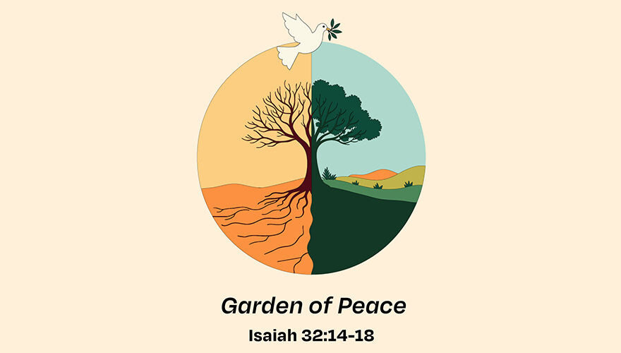 Peace of creation MSC