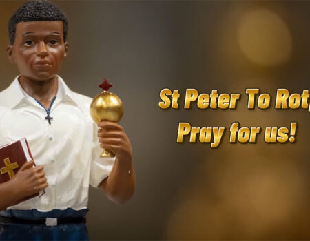 Peter To Rot. MSC