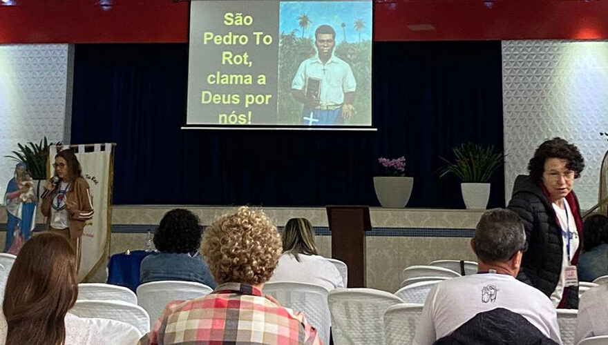 Laity of the Chevalier Family. Curitiba Congress 2025. MSC