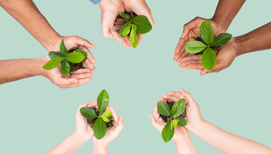 JPIC. Missioneries of the Sacred Heart. MSC